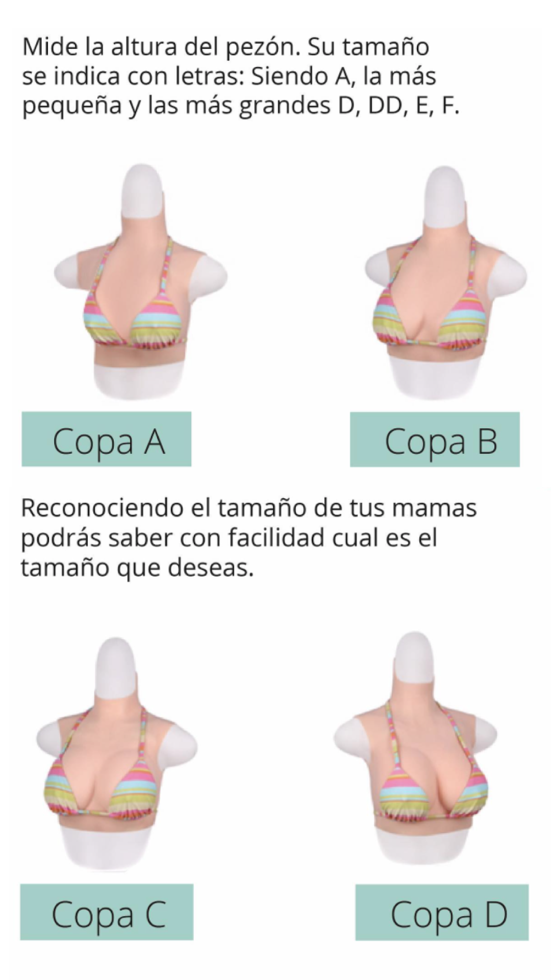 tamaño01